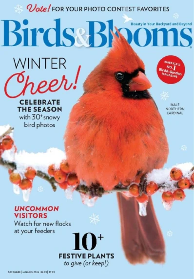 Thumbnail 13