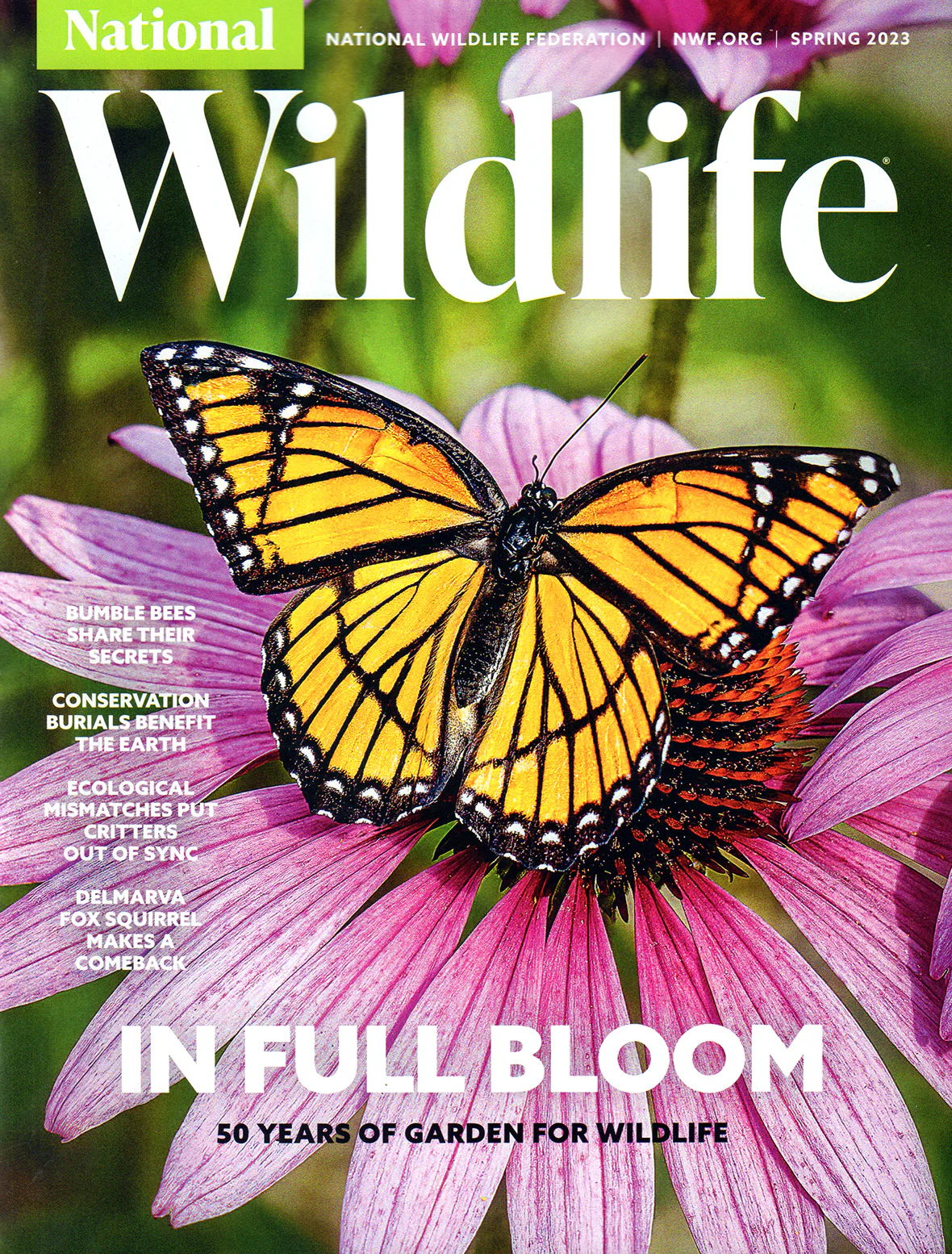 Thumbnail 12